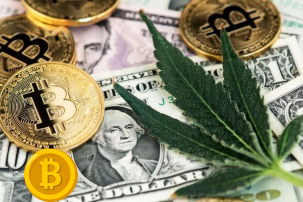 5starsstocks.com cannabis